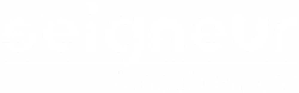 Seigneur ameublement logo